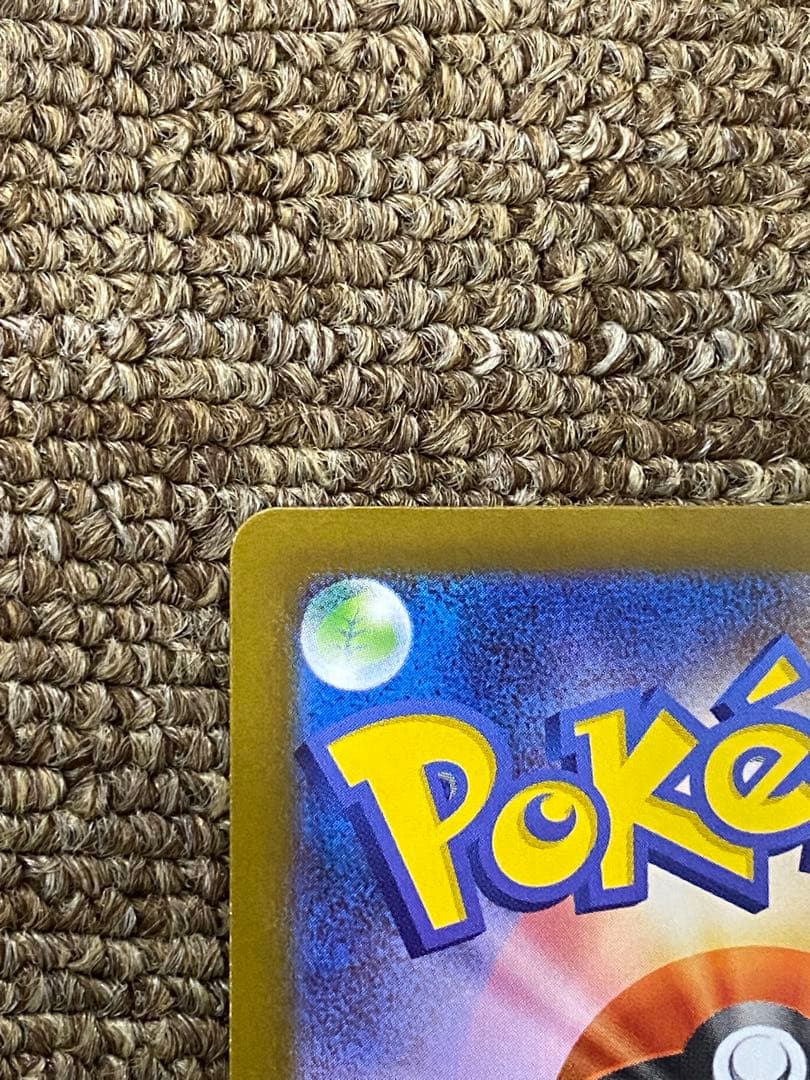 N*k様 トウホクのピカチュウ