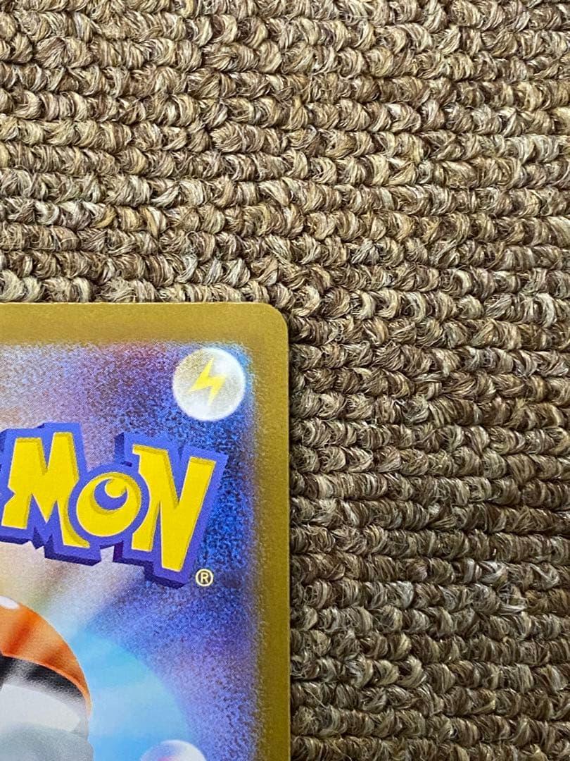 N*k様 トウホクのピカチュウ