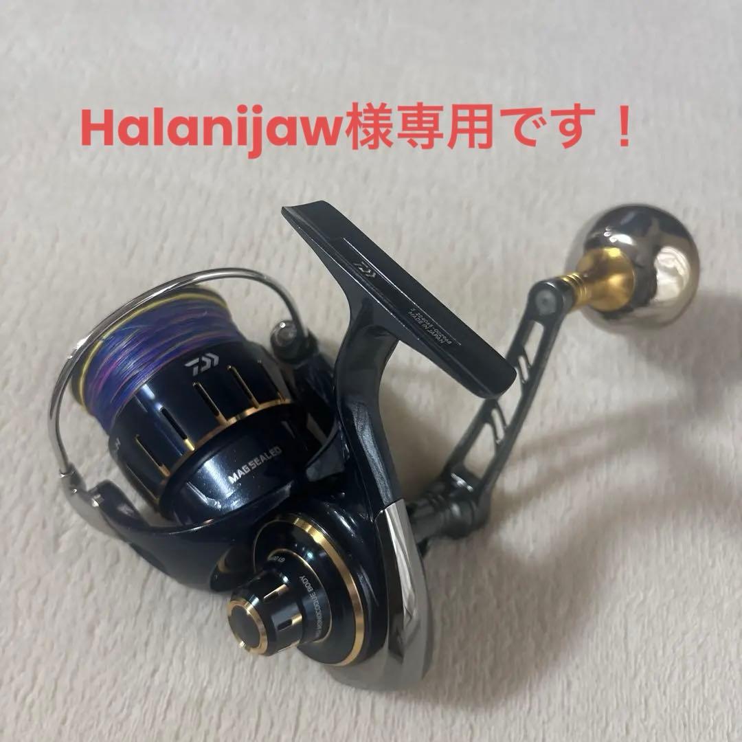 23ソルティガ6000H リブレPower70-75セット