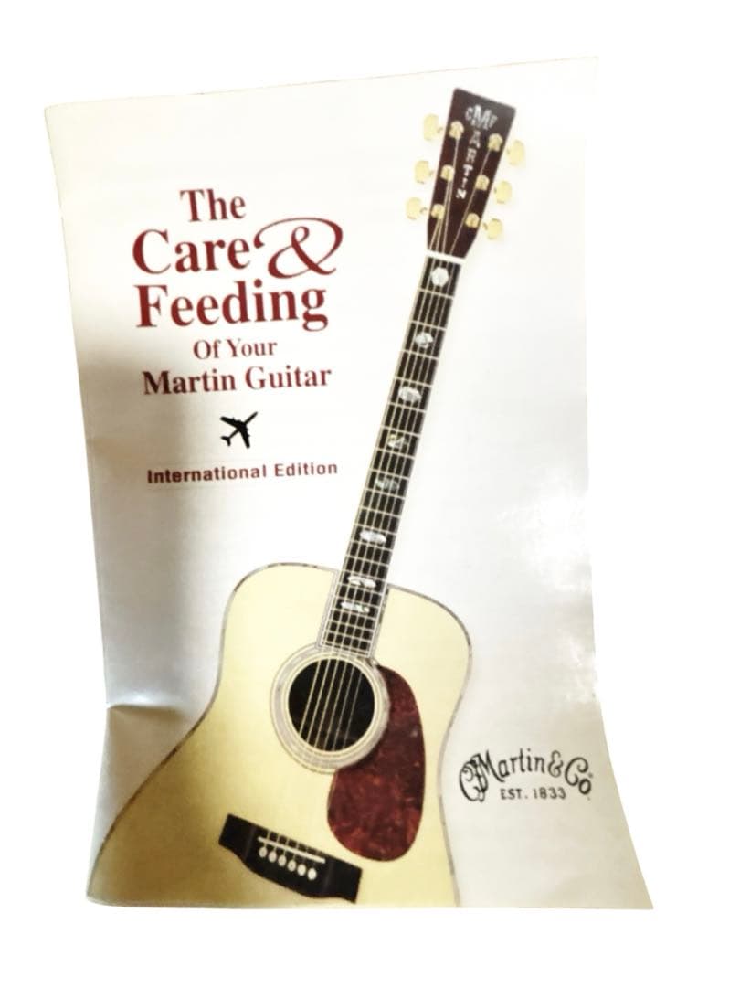 Martin & Co. DXM Dreadnought アコースティックギター