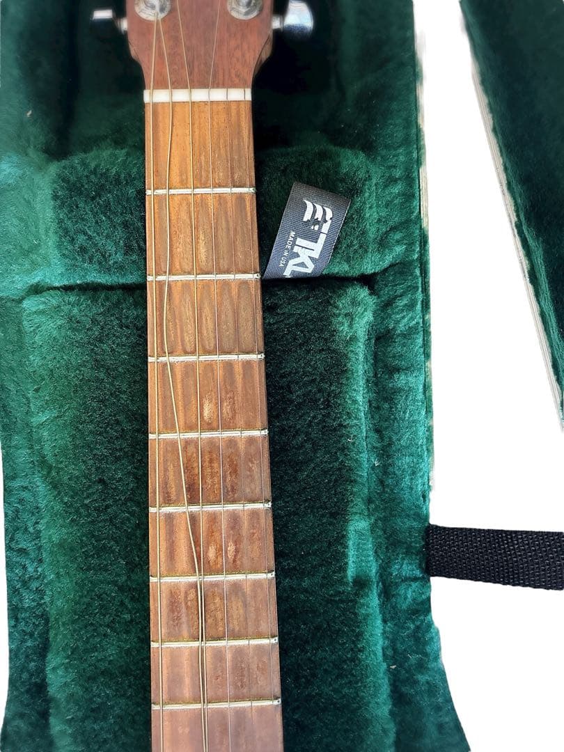 Martin & Co. DXM Dreadnought アコースティックギター