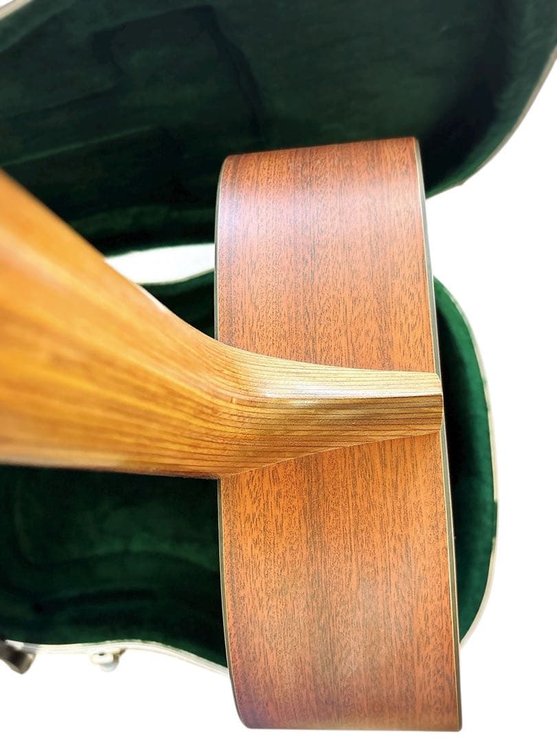 Martin & Co. DXM Dreadnought アコースティックギター