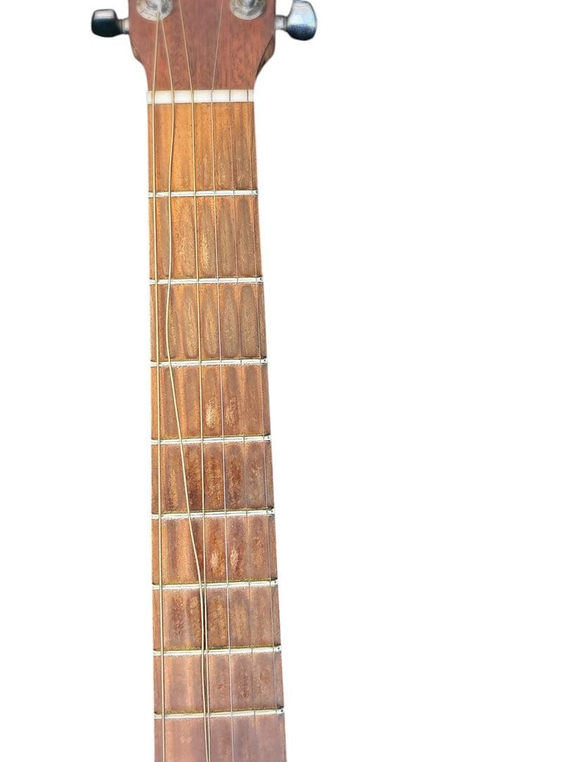 Martin & Co. DXM Dreadnought アコースティックギター