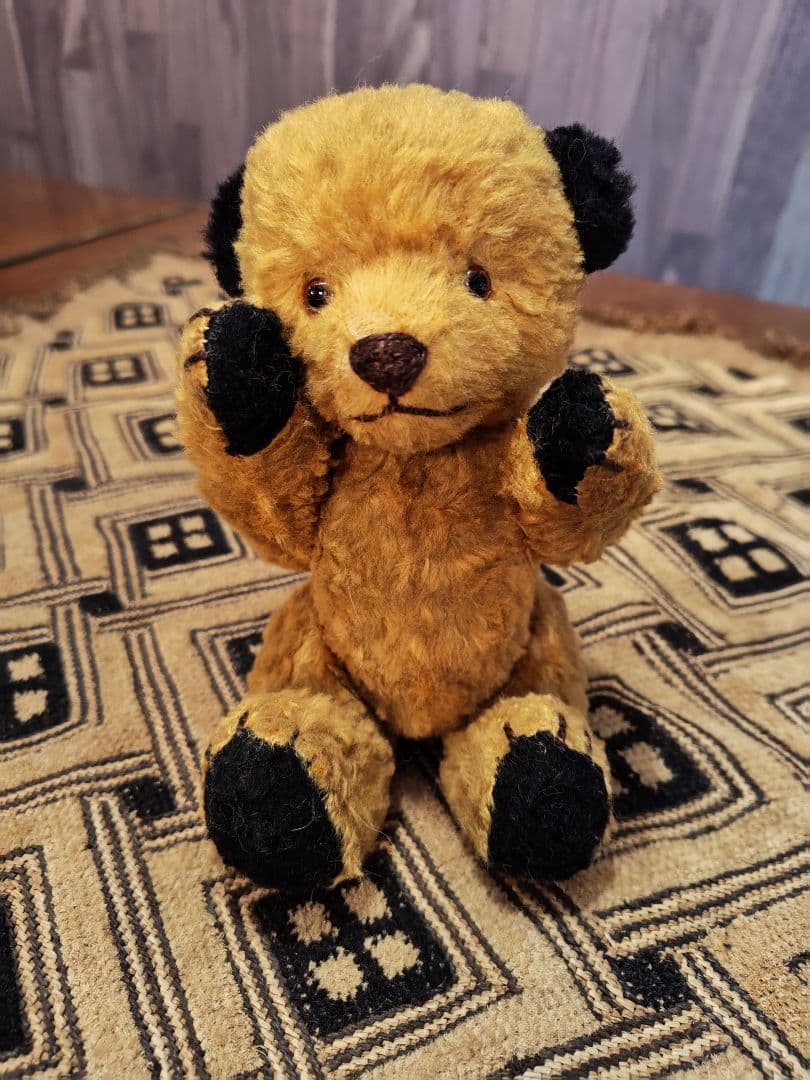 スーティー 1950年代