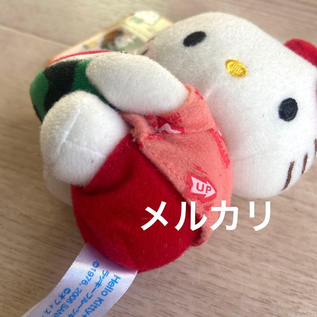 サンリオ ハローキティ Dr.コパ コラボ　ぬいぐるみ　風水すいか希少マスコット