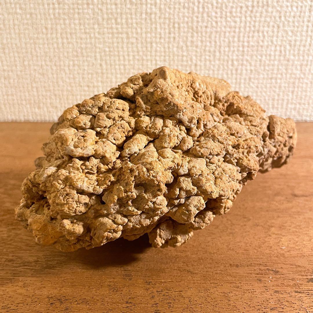 恐竜の糞（コプラライト）900g