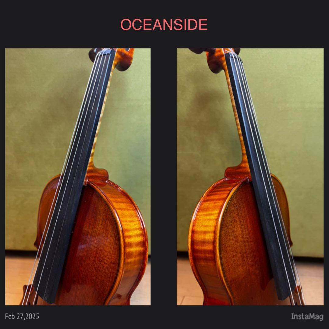 【美虎杢⭐️】R.M.PAULUS V-7ドイツ製バイオリン 4/4