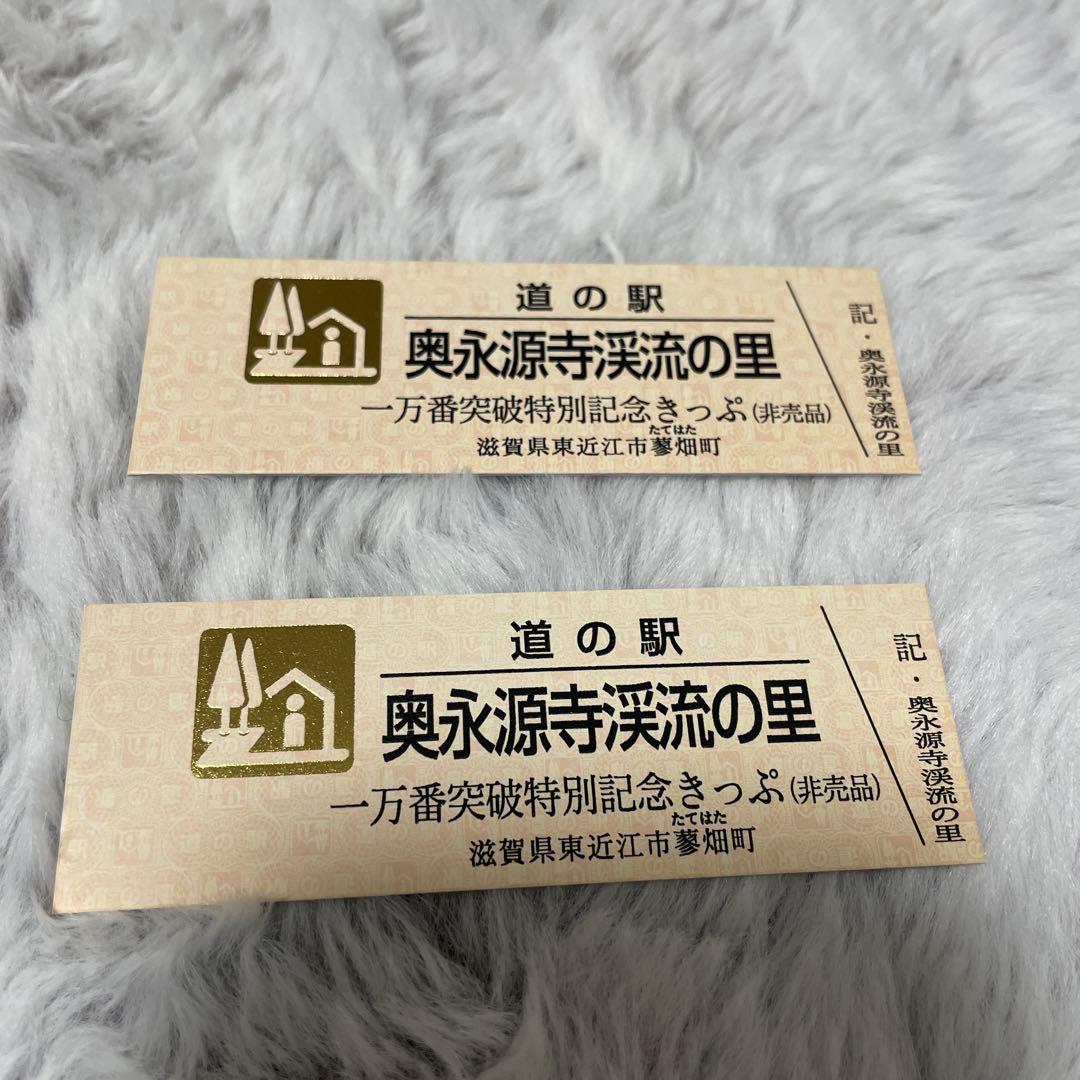 奥永源寺渓流の里 開駅10周年&1万番突破特別記念きっぷ 2枚セット