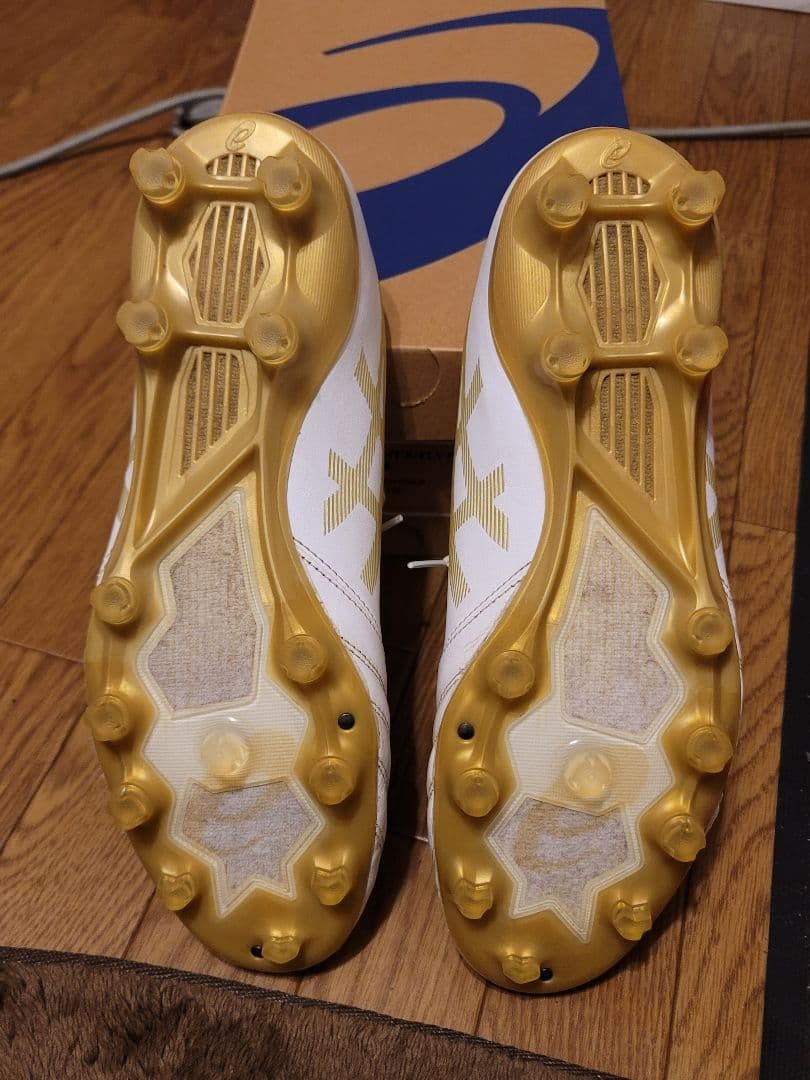 マ*ト様 ASICS DS LIGHT X-FLY PRO 27cm　美品