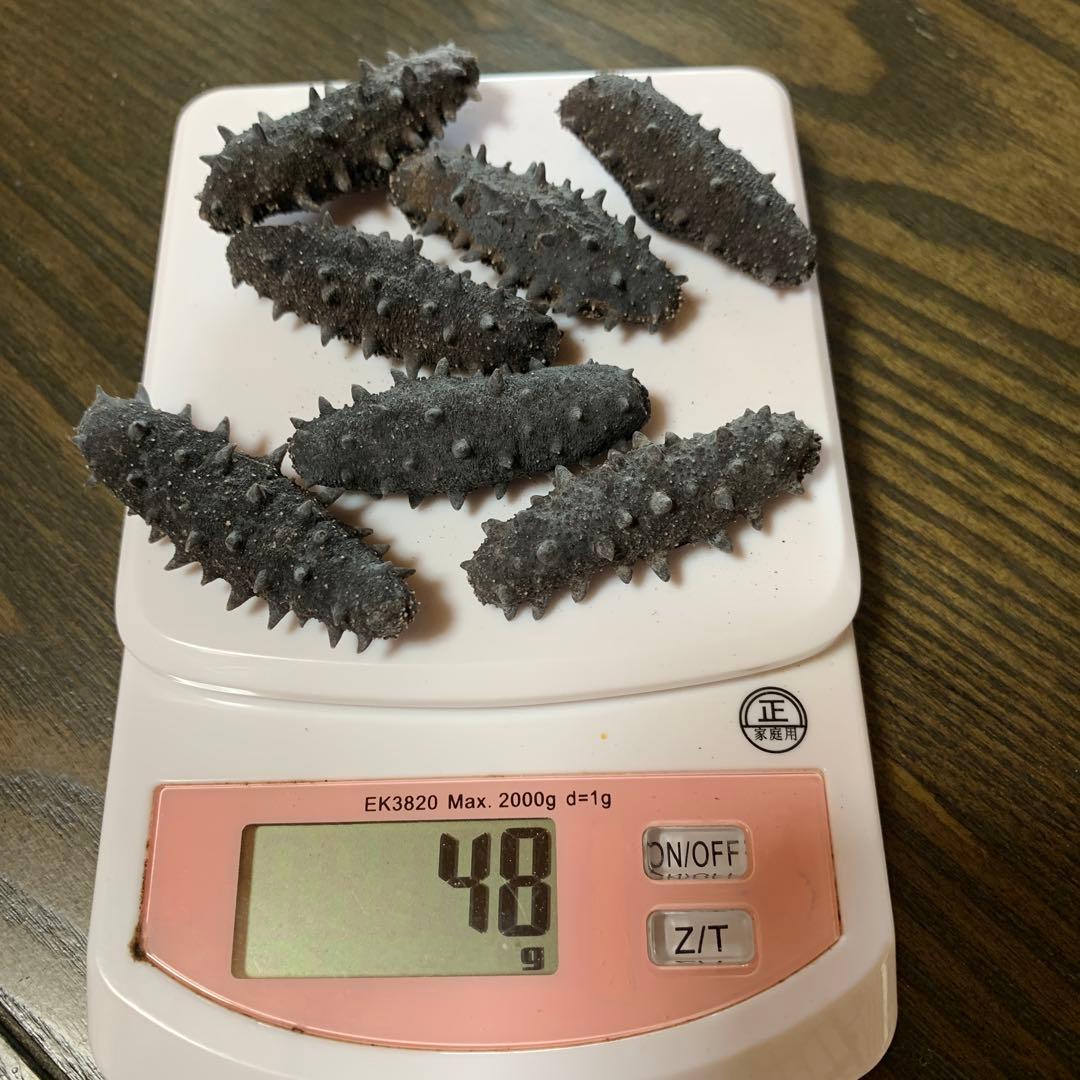 海の幸 7個セット 48g