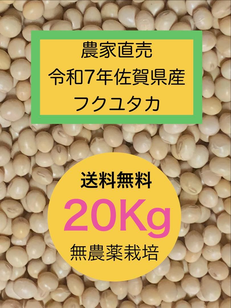 poteto　佐賀県産大豆　フクユタカ