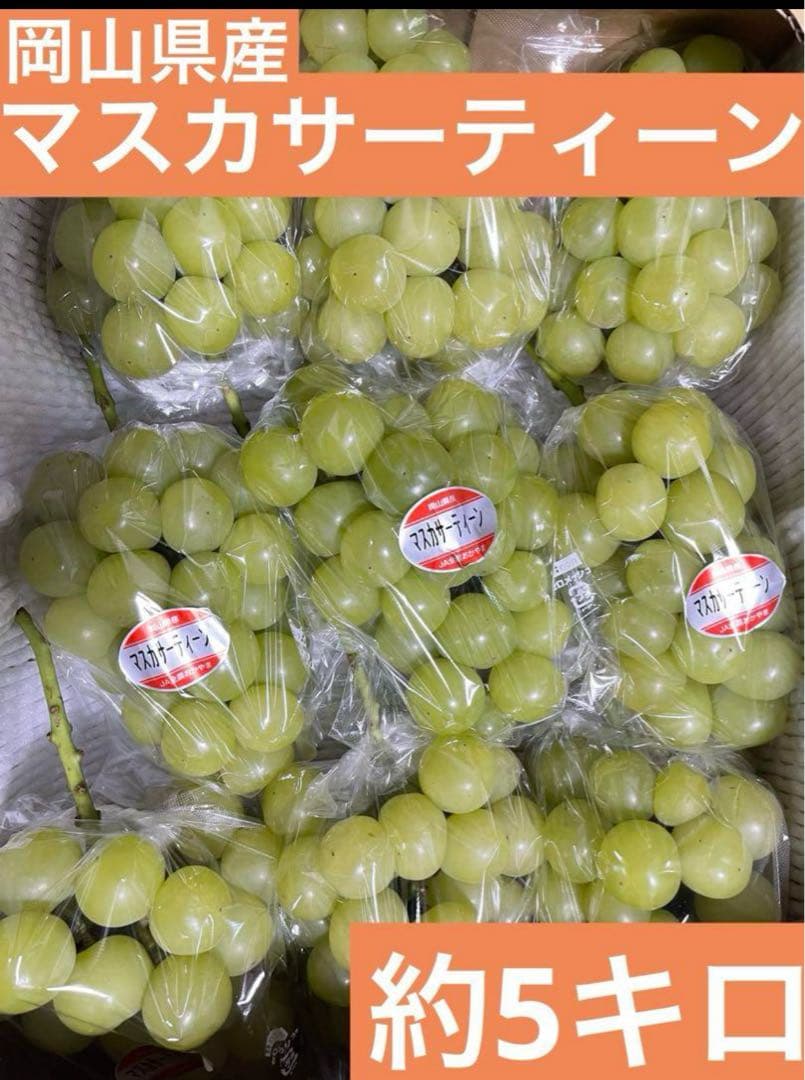 ② 【岡山県産】マスカサーティーン(葡萄)9〜10房 約5キロ