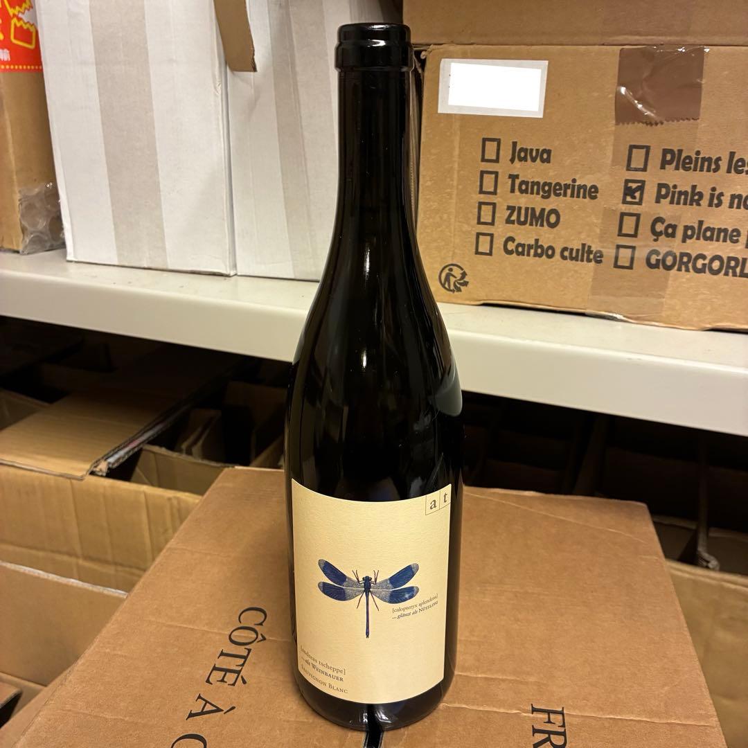 ▪️アンドレアスツェッペ Blaue Libelle 2018