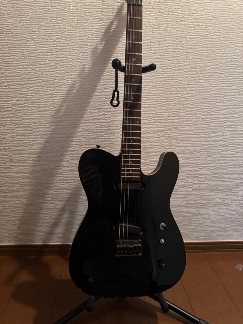 ギター FERNANDES TEJ