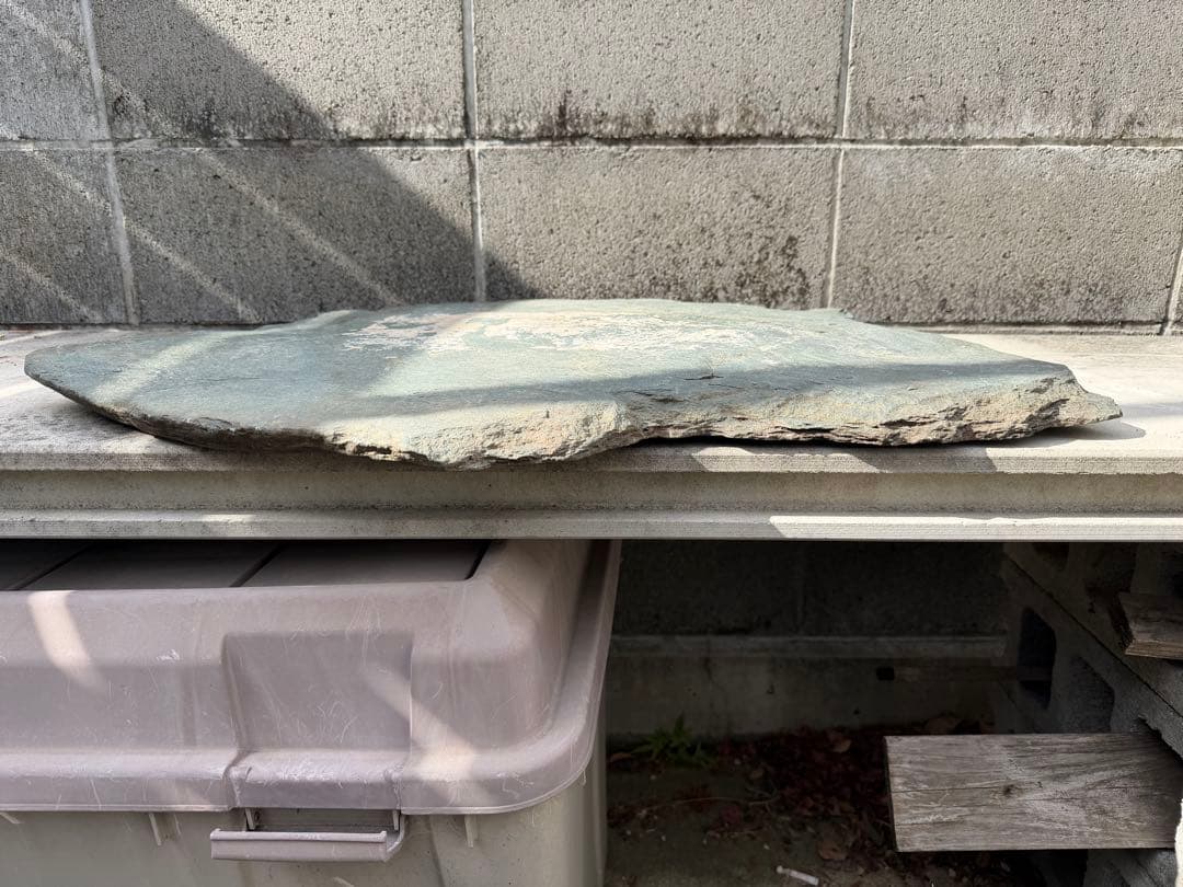 伊予石　青石　四国　平石　大型　鑑賞石　自然石　付け石　鞍馬　龍眼　竜岩　盆栽