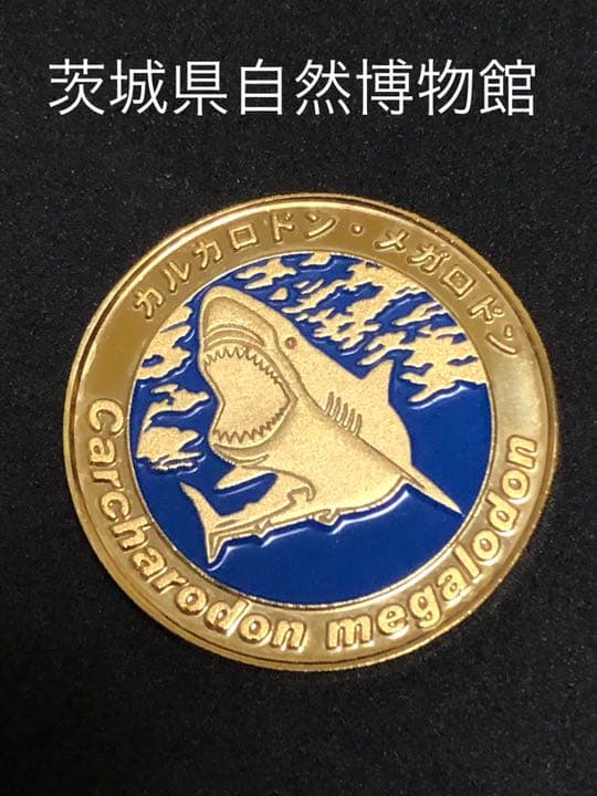 博物館2☆茨城★自然博物館9☆メガロドン★記念メダル☆茶平工業