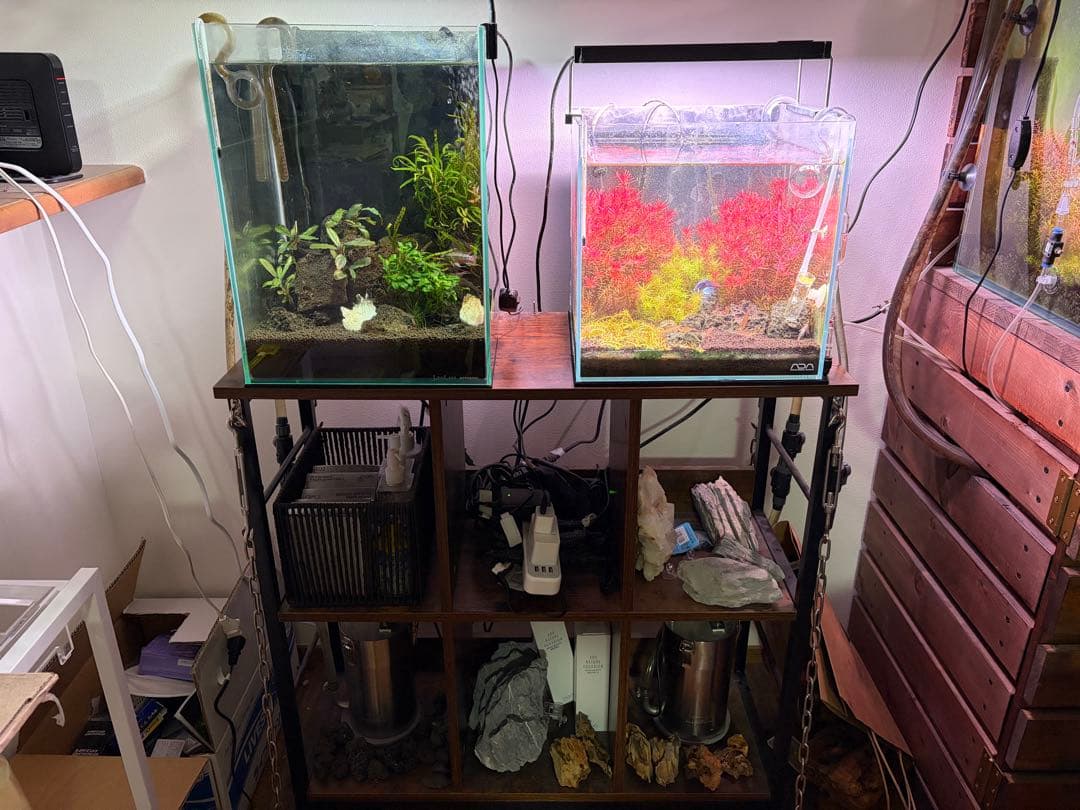 30センチ水槽セット　ADA