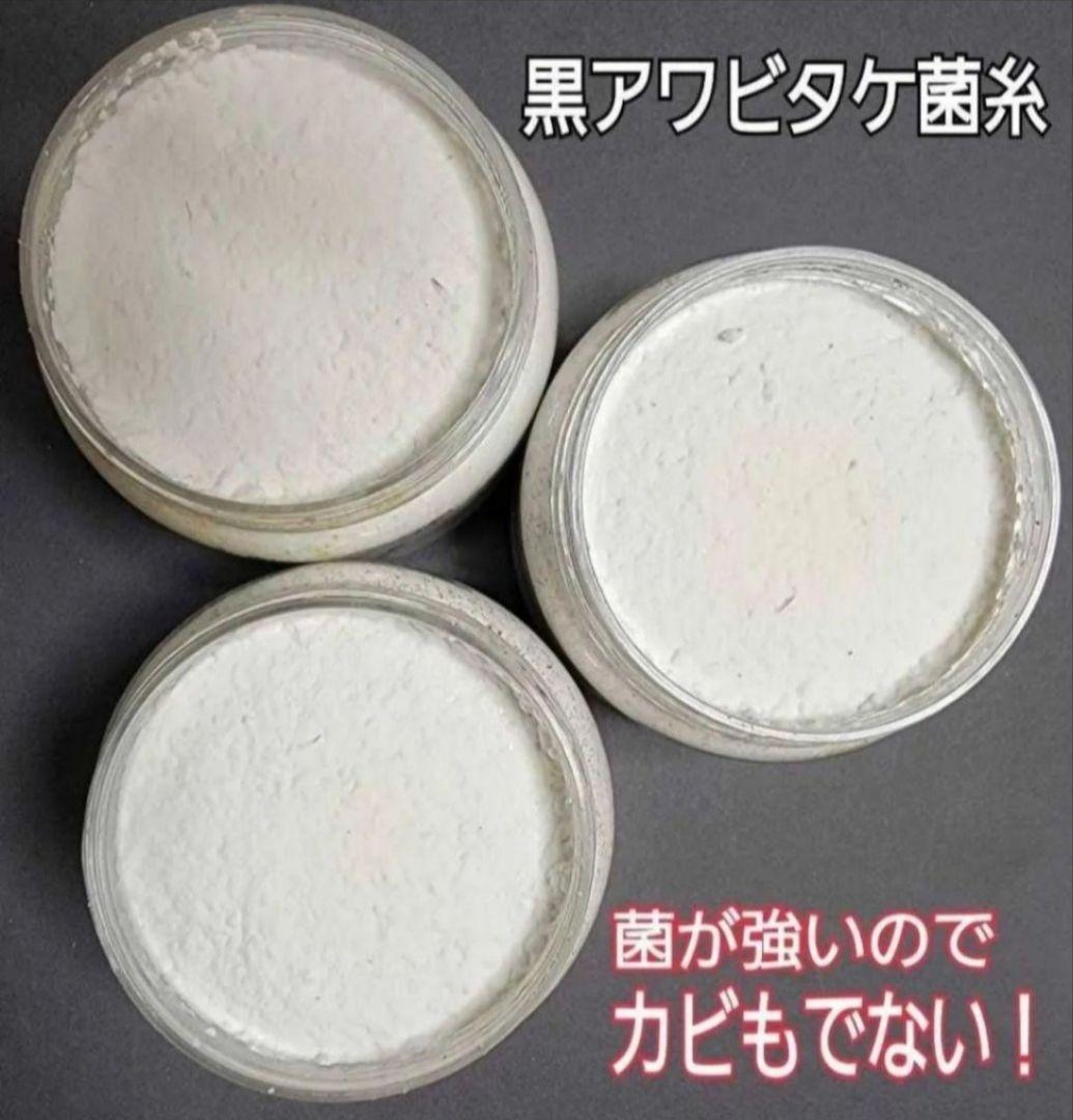 ９本セット！ニジイロクワガタに抜群！黒アワビタケ菌糸瓶　トレハロース、キトサン入