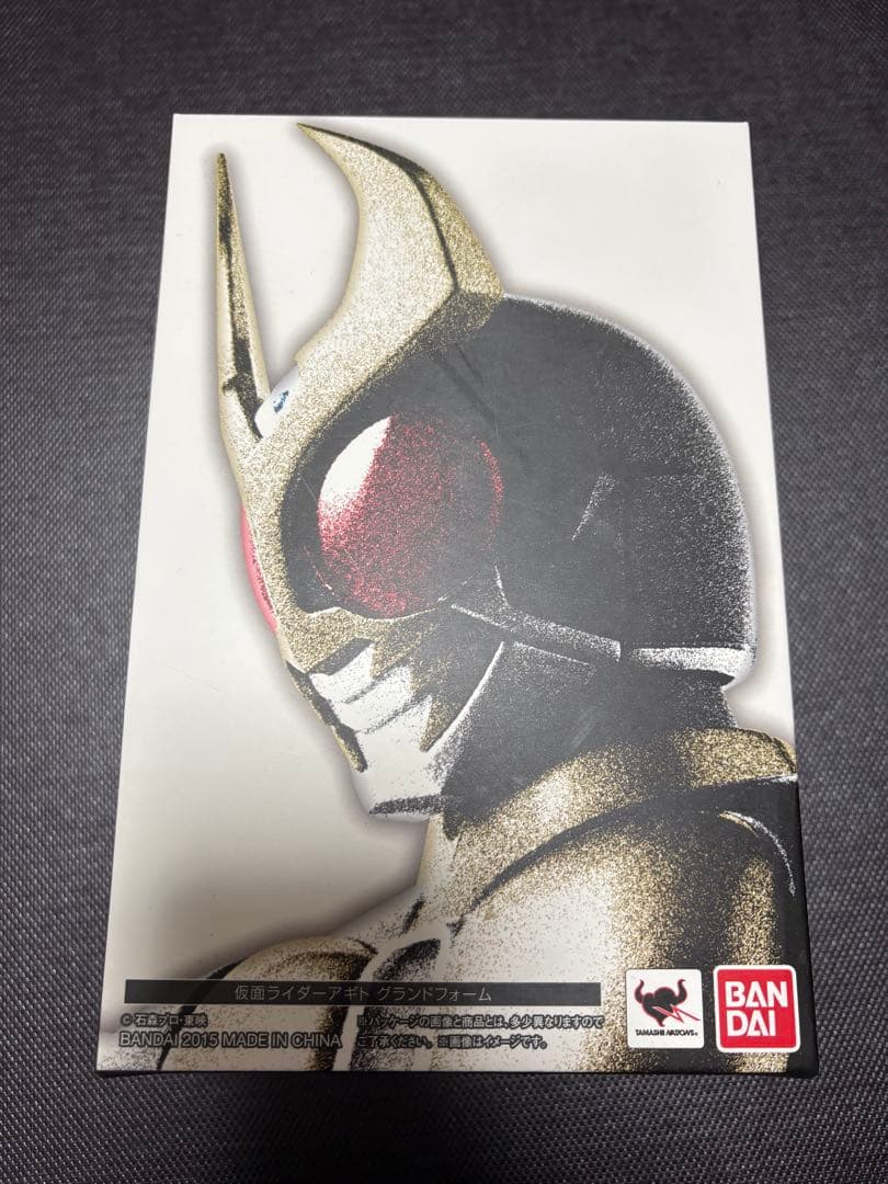 真骨彫　仮面ライダーアギト
