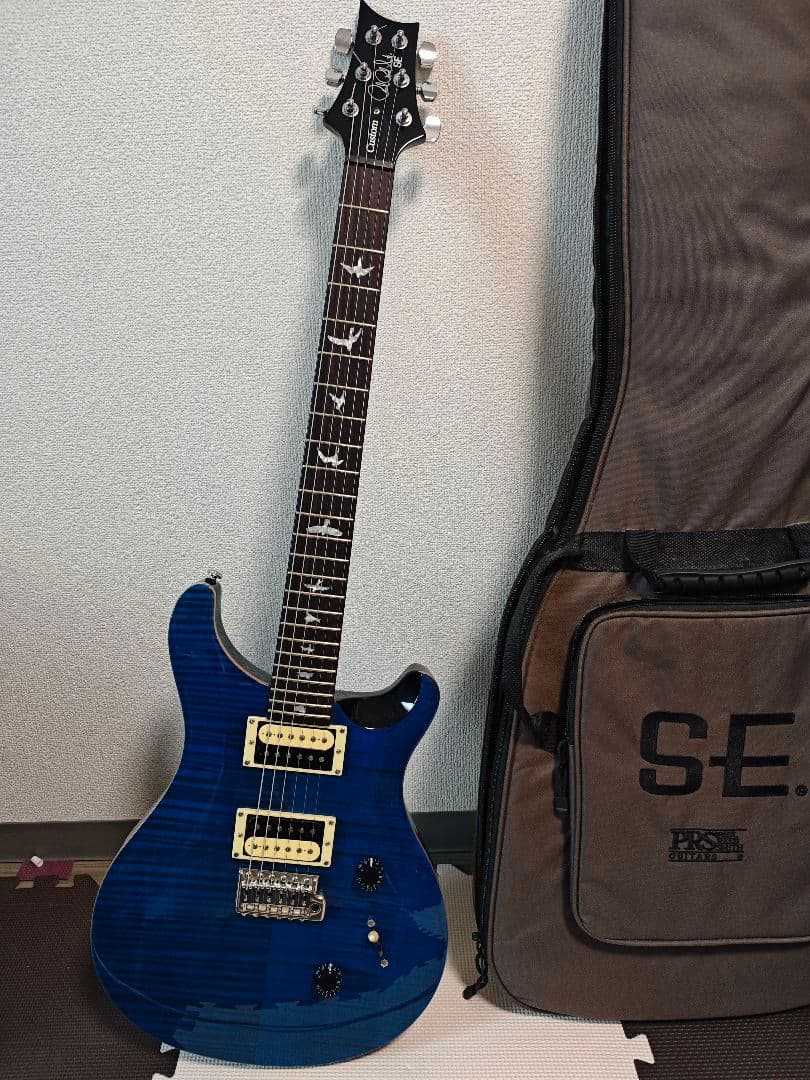 ギター Paul Reed Smith(PRS)SE Custom 24