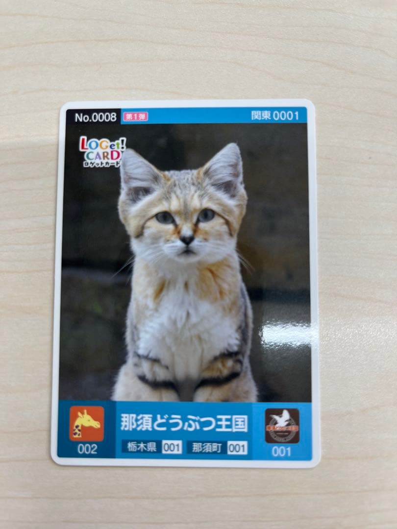 ロゲットカード　スナネコ　那須どうぶつ王国　栃木県那須