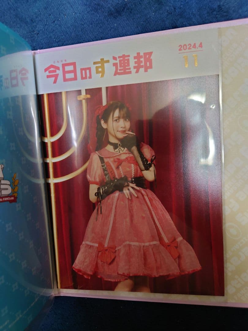 上坂すみれ ファンクラブ会報誌 全11部 専用バインダー付属