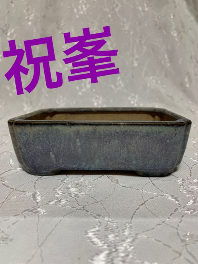 祝峯　盆栽鉢
