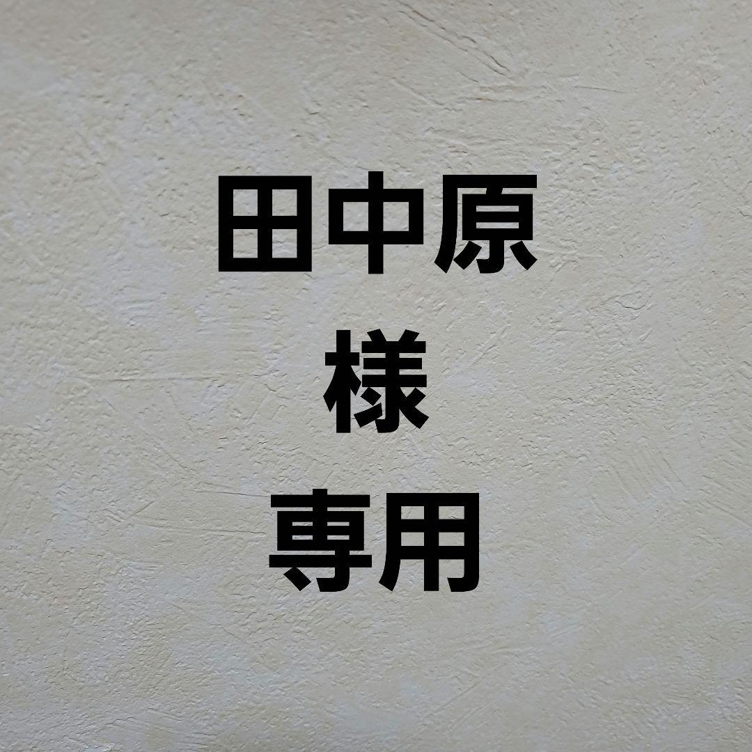 田中原　ウルトラの父ソフビ