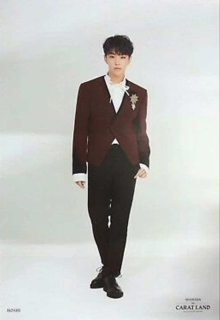 SEVENTEEN セブチ 2018 CARAT LAND ポスター セット