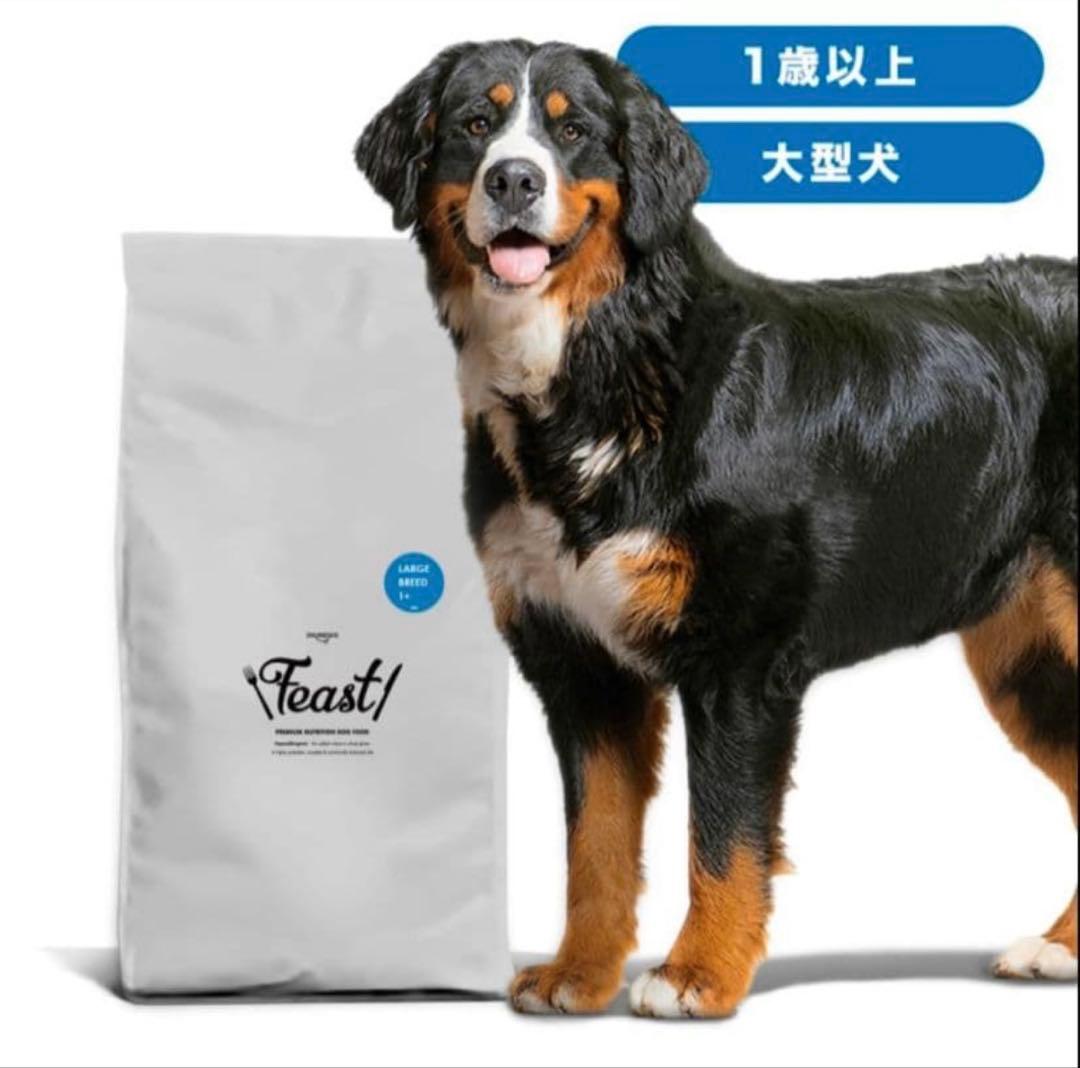 Feast!　フィースト　1歳以上　大型犬用　大粒　15kg　ブリーダーパック