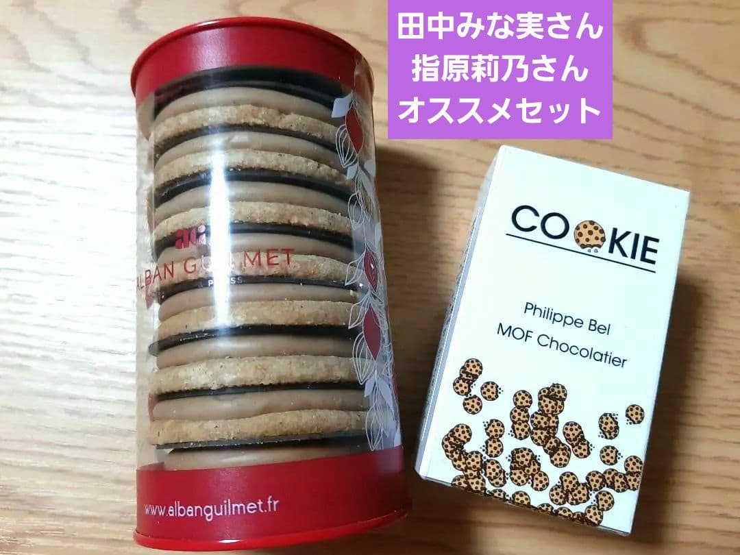 完売品！　田中みな実さんイチオシ　新作&看板王道　フィリップベル　アルバンギルメ