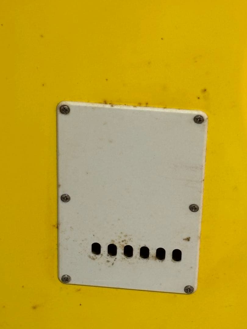 SELDER エレキギター シングルコイル