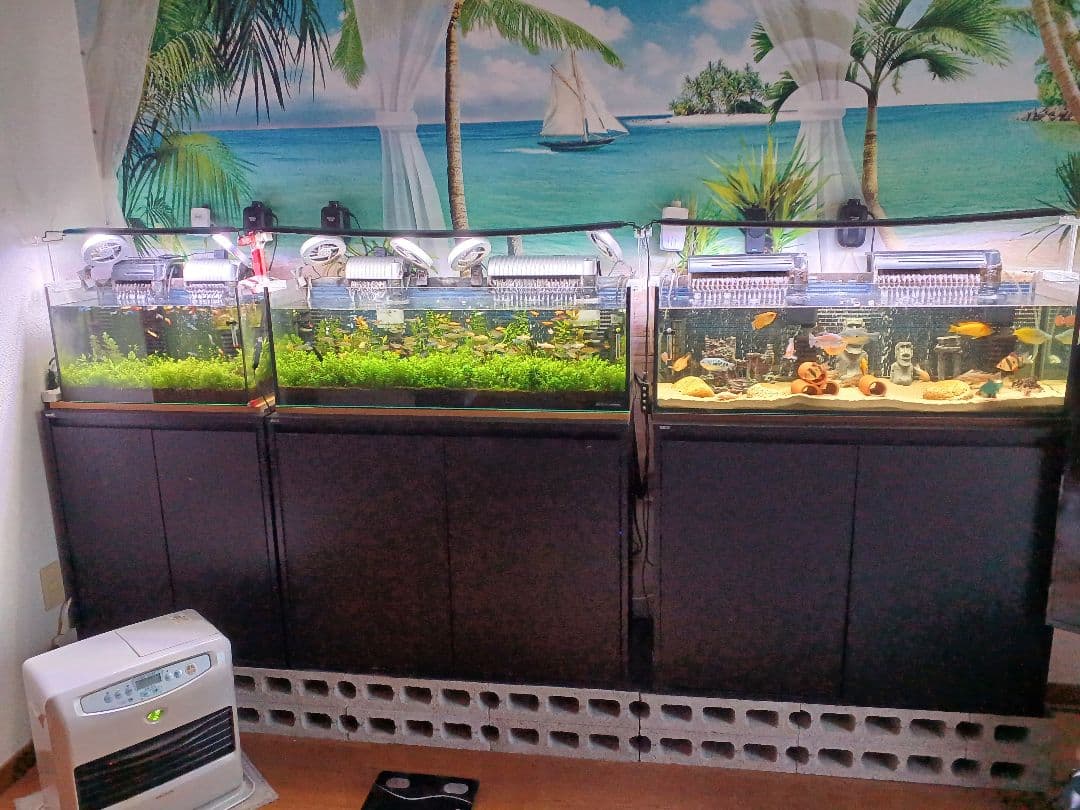 引き取り限定　水槽他　全て