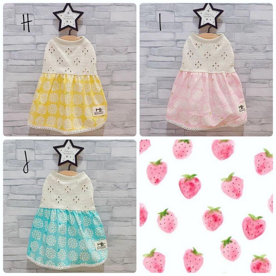 ☆犬服☆レースニットふんわりワンピースP. Sサイズ