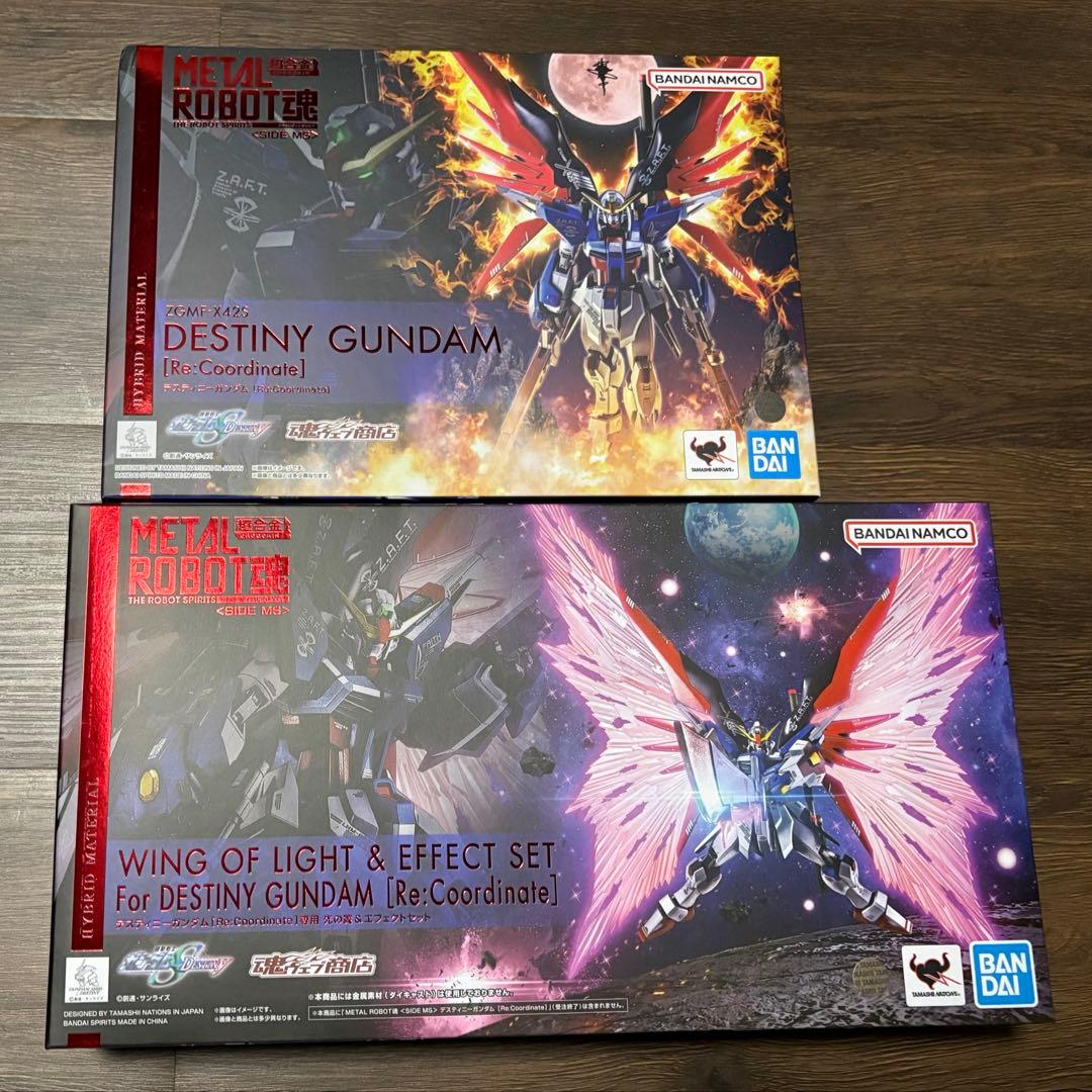 デスティニーガンダムRe:Coordinate 本体&光の翼セット