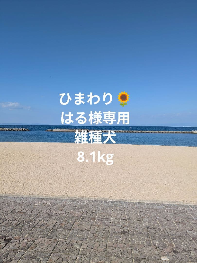 雑種犬4輪　リハビリ　食事補助　犬用車椅子　介護補助　犬の歩行器