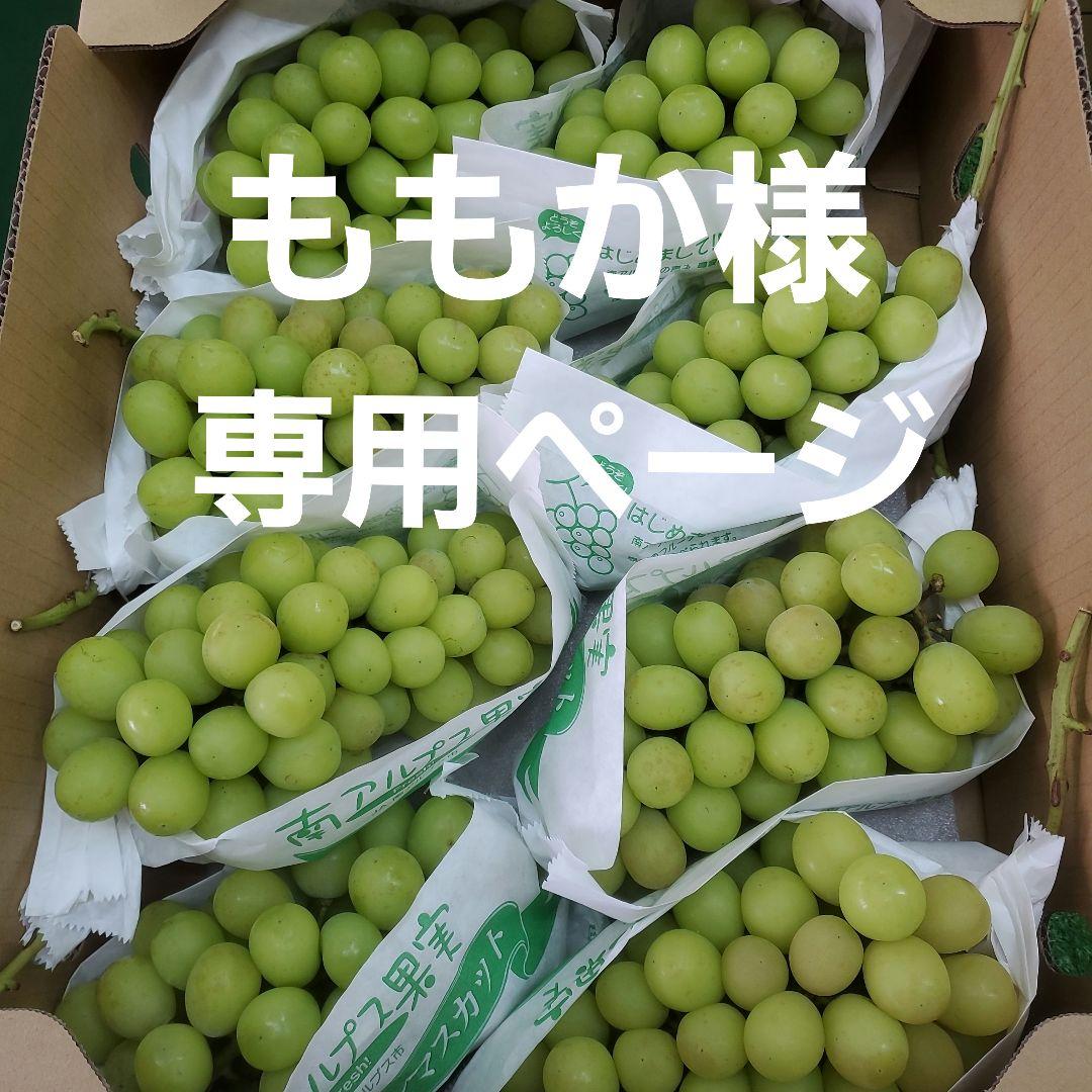 0️⃣8️⃣ 山梨県産 シャインマスカット８房入り 箱込み5.4キロ