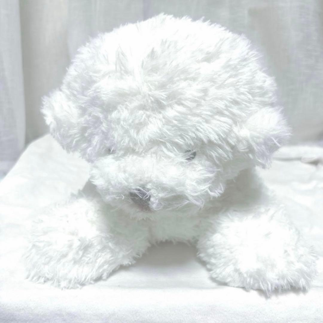 ジェラートピケ ジェラピケ ビションフリーゼ ぬいぐるみ