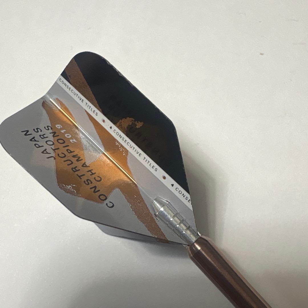 ダーツ 3本セット　ケース付き　TARGET LUMIERE(ルミエール)