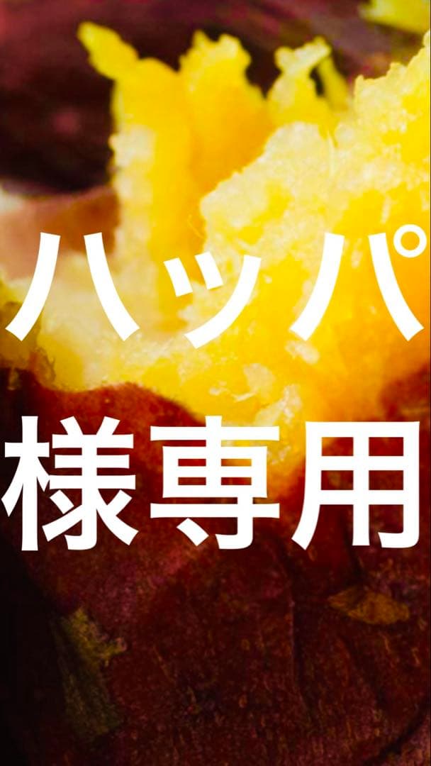 ハッパ 飴色切り落とし5袋、飴色平干し5袋