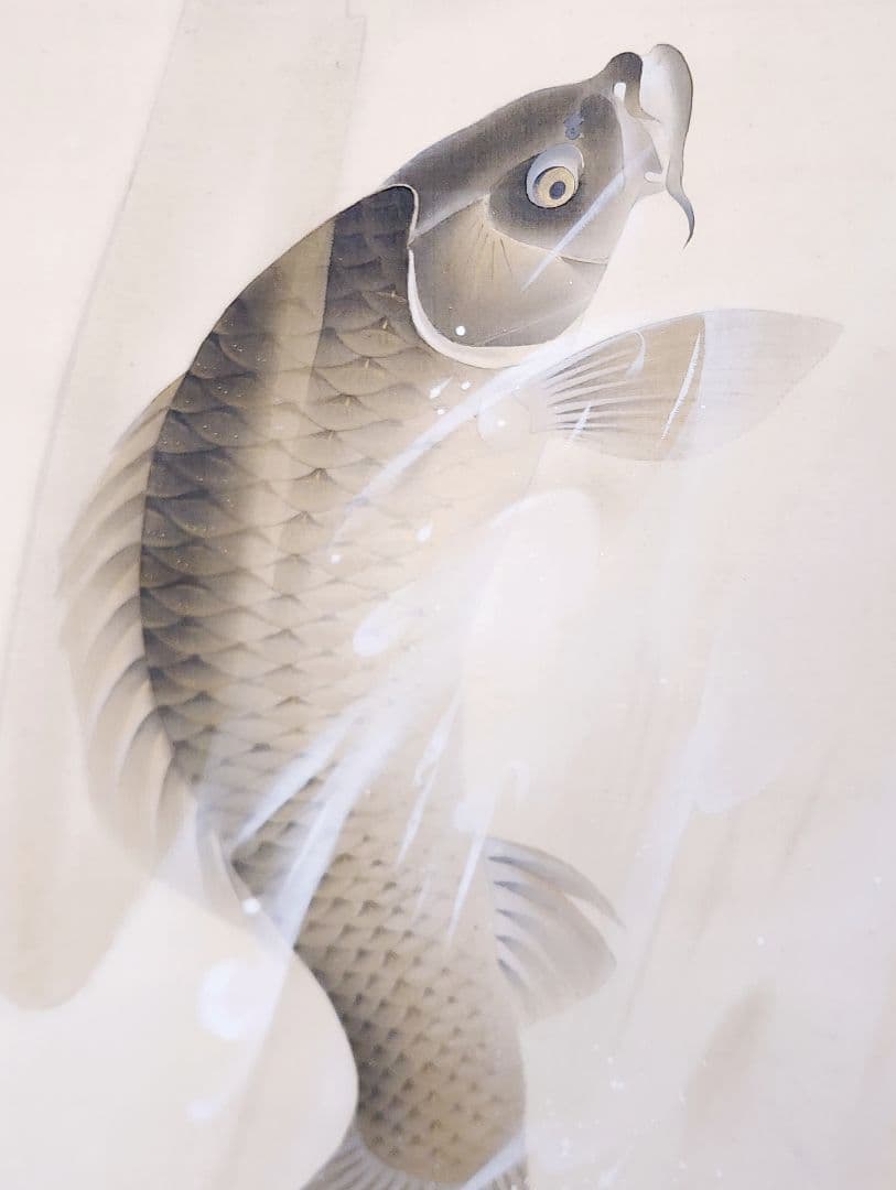 【鯉滝登り図】戸田北遥 2705 登竜門 肉筆 掛け軸