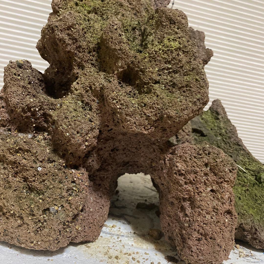 【美形】軽石　岩石　水槽　装飾 アクアリウム　NO4