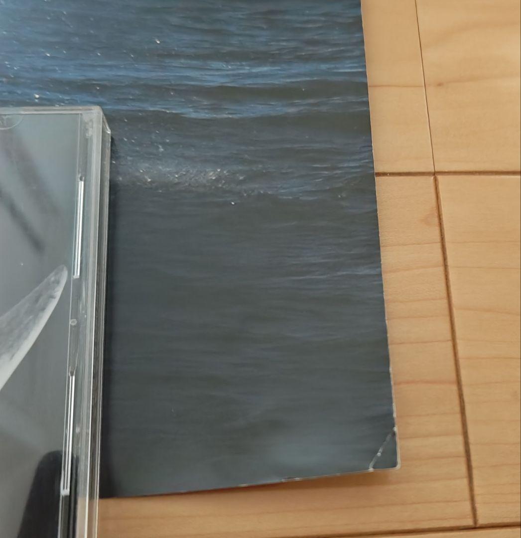 ミスチル、Mr.Children、SENSE、ポスター