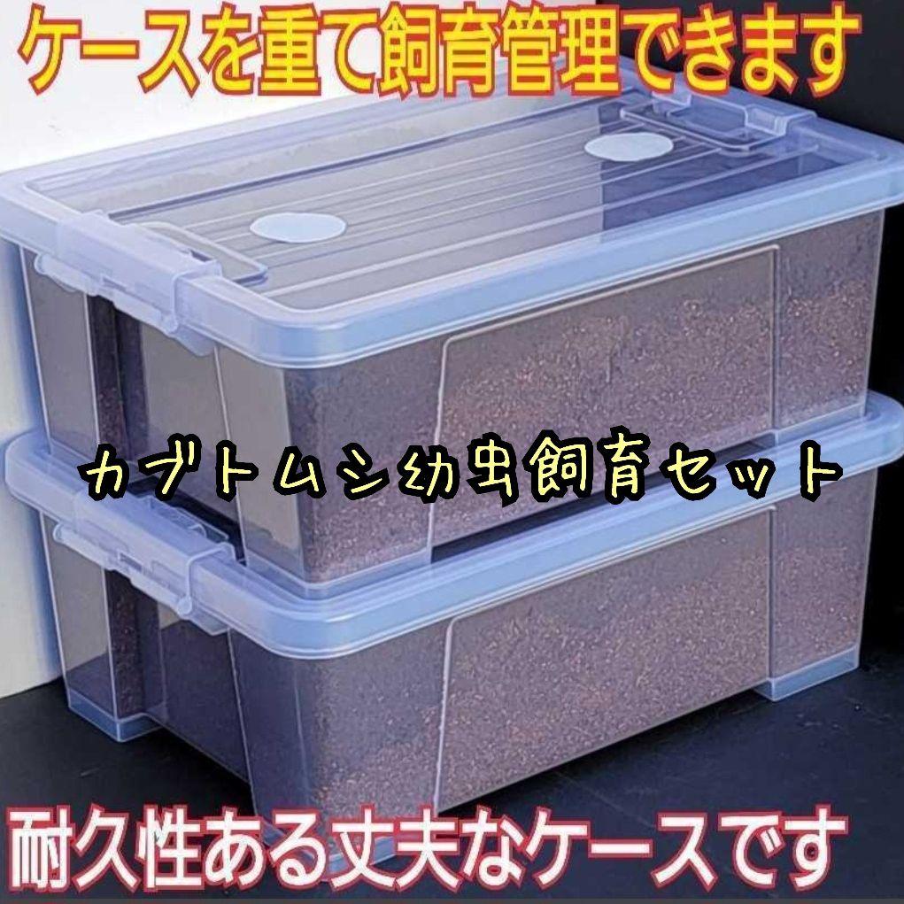 【２セット】カブトムシ幼虫を入れるだけ！プレミアム発酵マット入り㍑ボックス