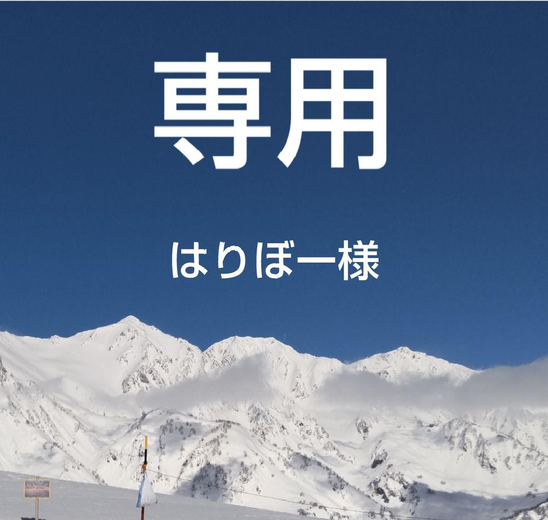 専用　富士の輝き　シャインマスカット　瀬戸ジャイアンツ　クイーンニーナ