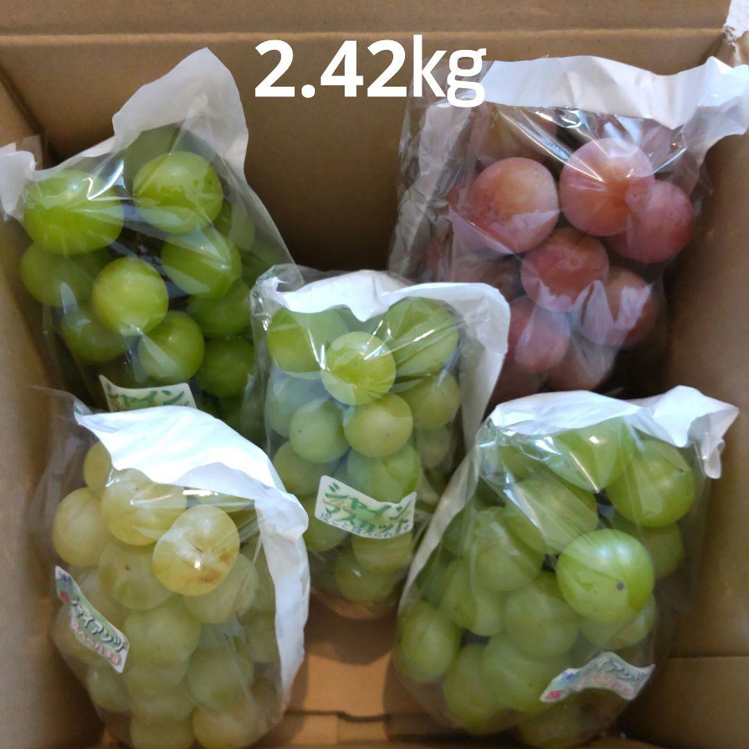 専用　富士の輝き　シャインマスカット　瀬戸ジャイアンツ　クイーンニーナ