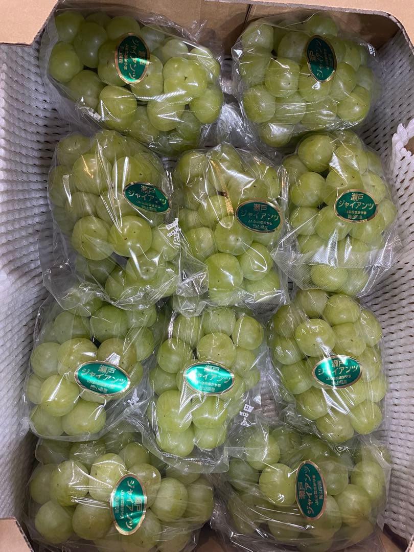 ⑧【岡山県産】瀬戸ジャイアンツ　7〜12房　約5キロ
