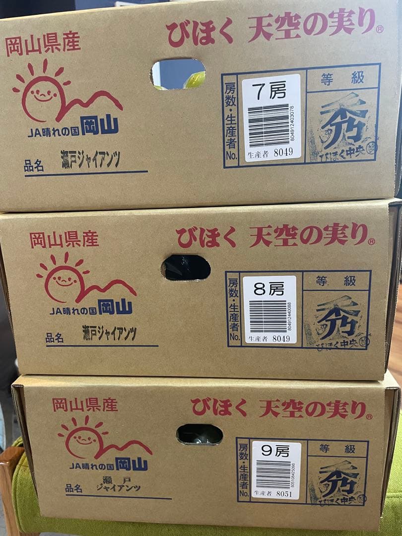 ⑧【岡山県産】瀬戸ジャイアンツ　7〜12房　約5キロ