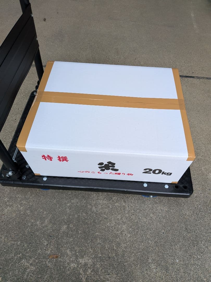 農家直送！新潟米ゆきの精　玄米20kg