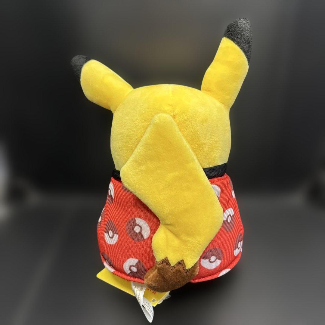 ポケモン　ぬいぐるみ　マンスリーピカチュウ　12月 2015年